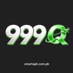 999Q Game