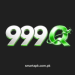 999Q Game